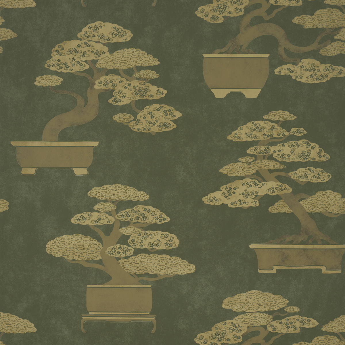 BONSAI TREE — OLIVE