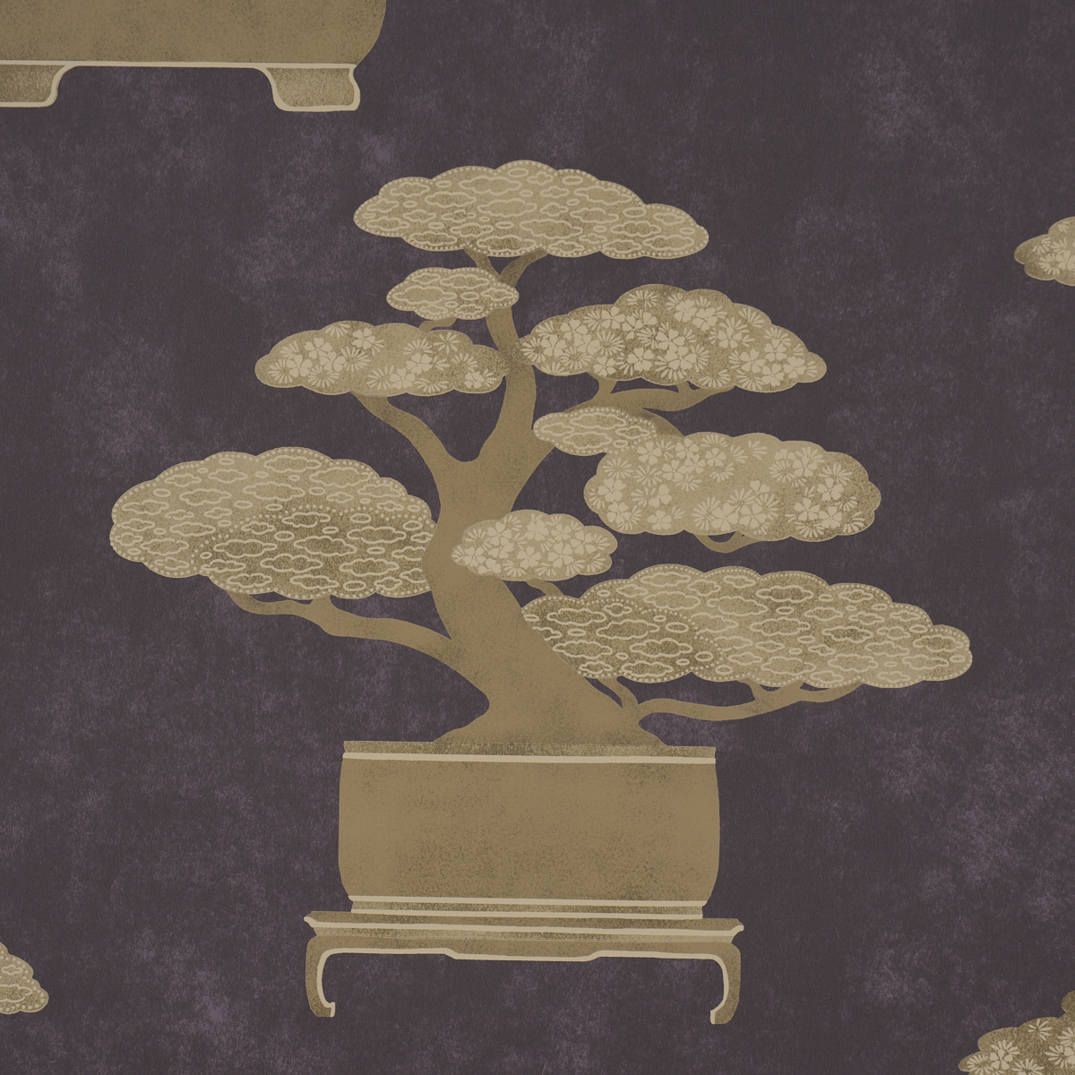 BONSAI TREE gallery 2