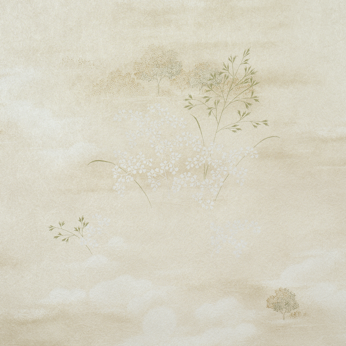 CALM SKIES gallery 2