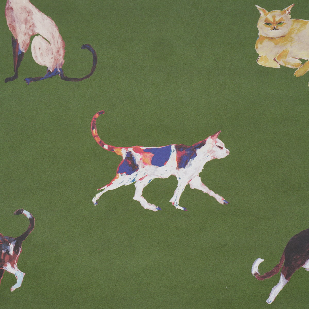 Cats gallery 2