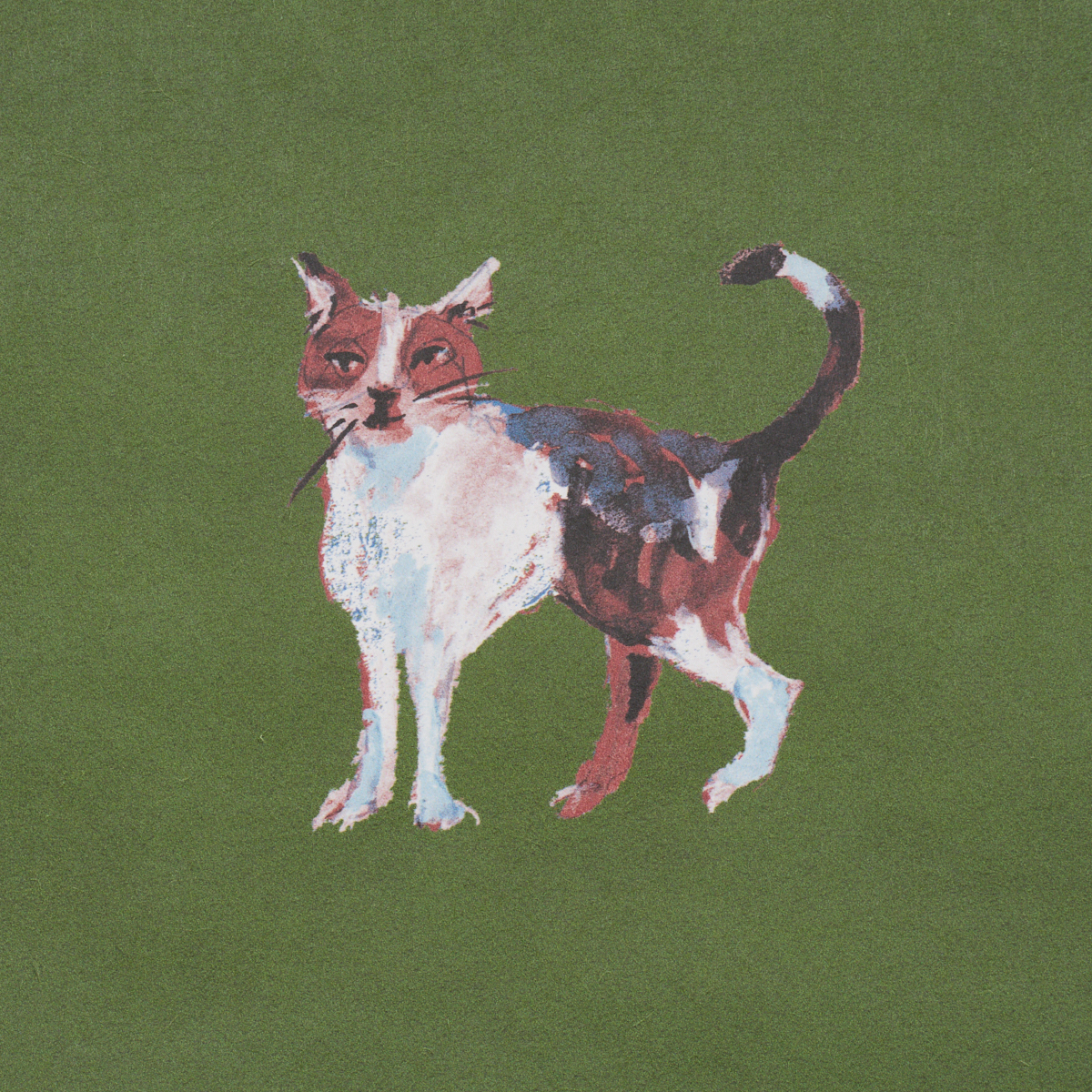 Cats gallery 3