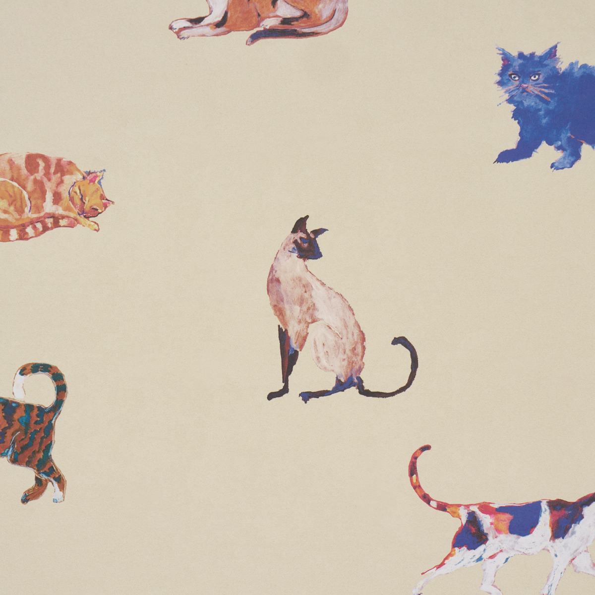 Cats gallery 2