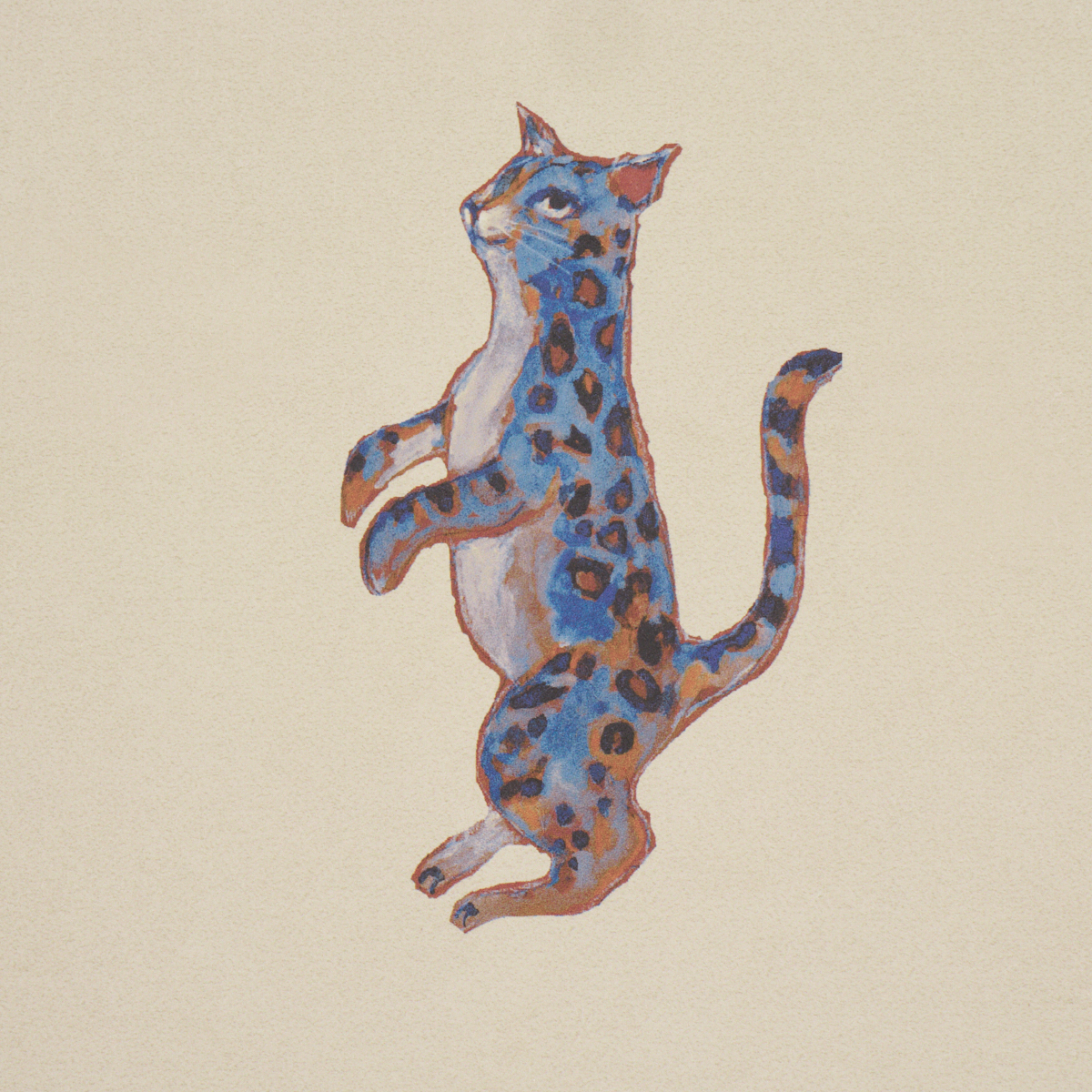 Cats gallery 3