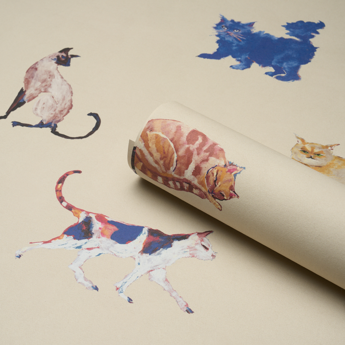 Cats gallery 4