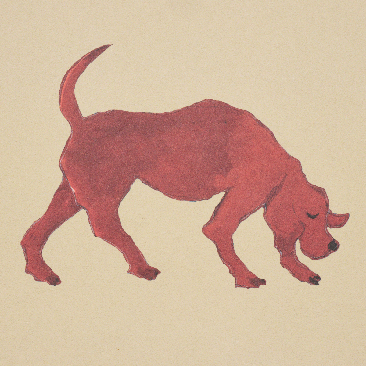 Dogs gallery 3