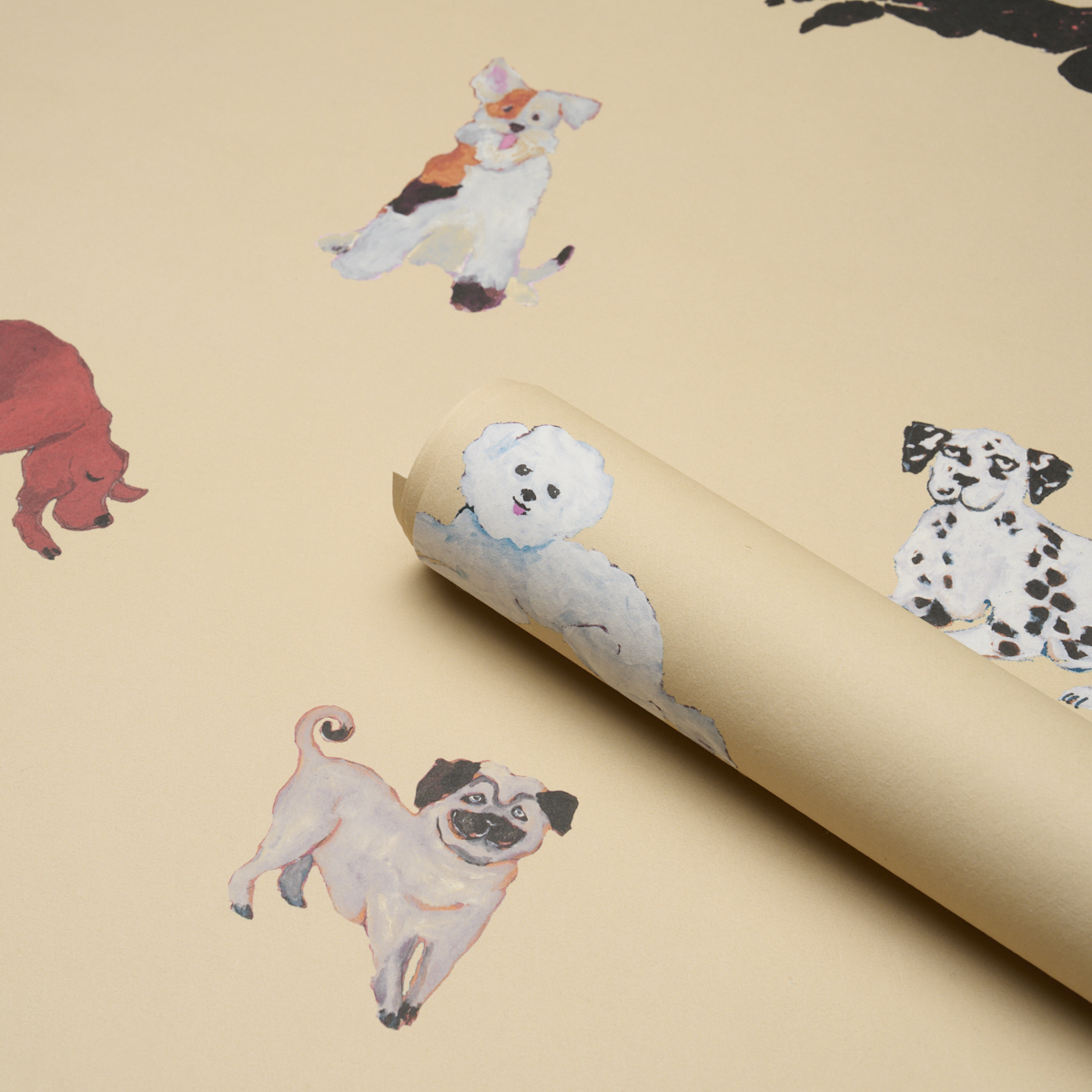 Dogs gallery 4