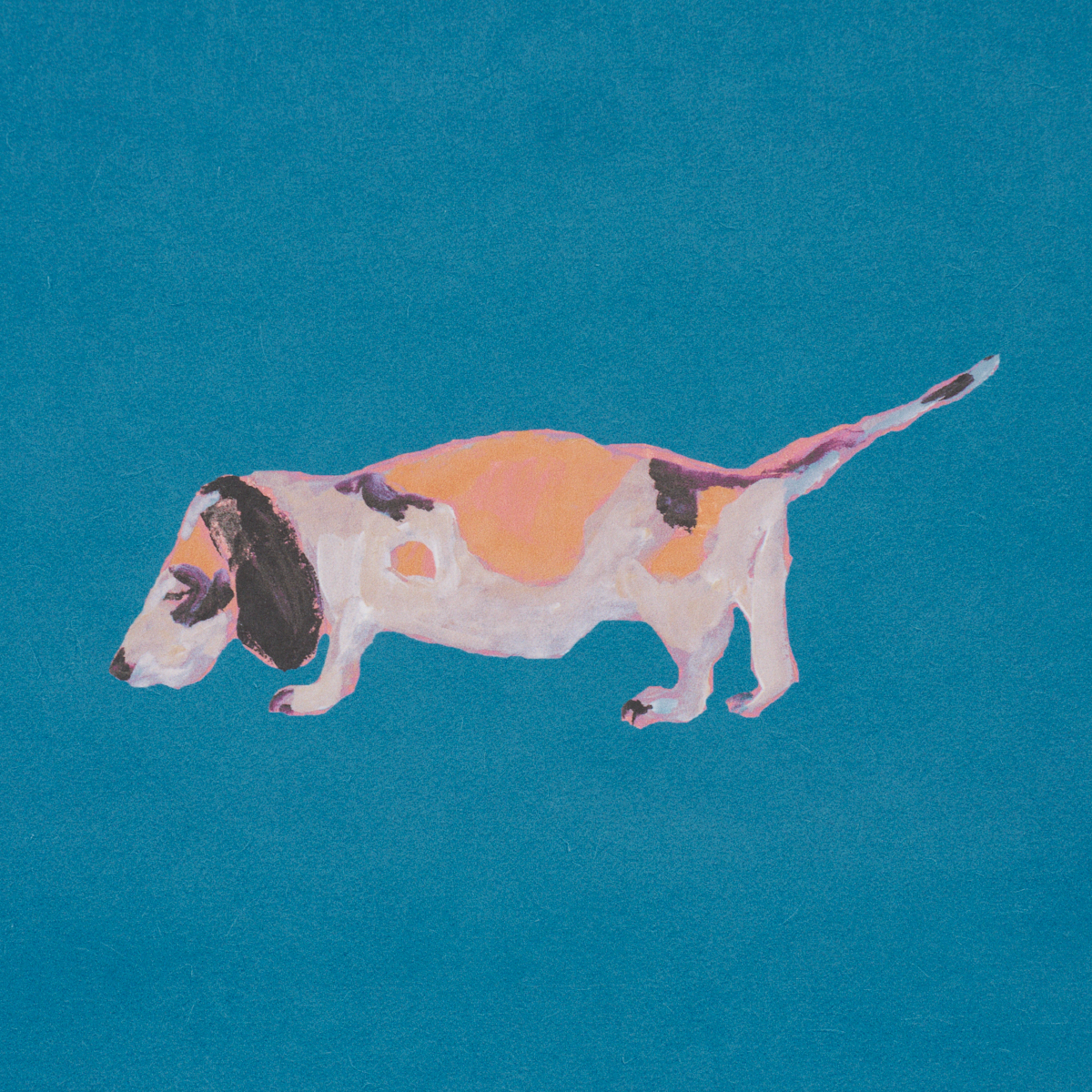 Dogs gallery 2