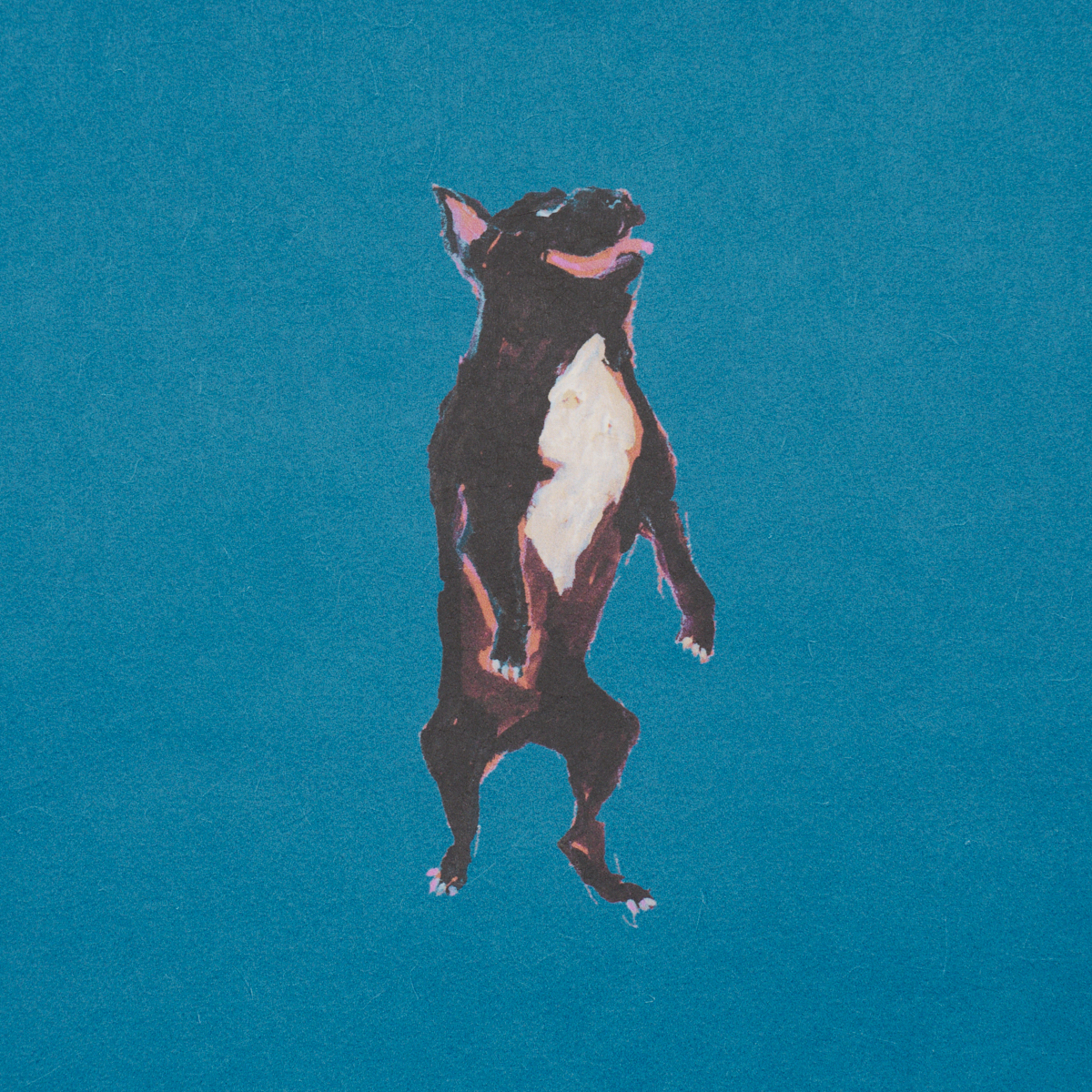 Dogs gallery 3