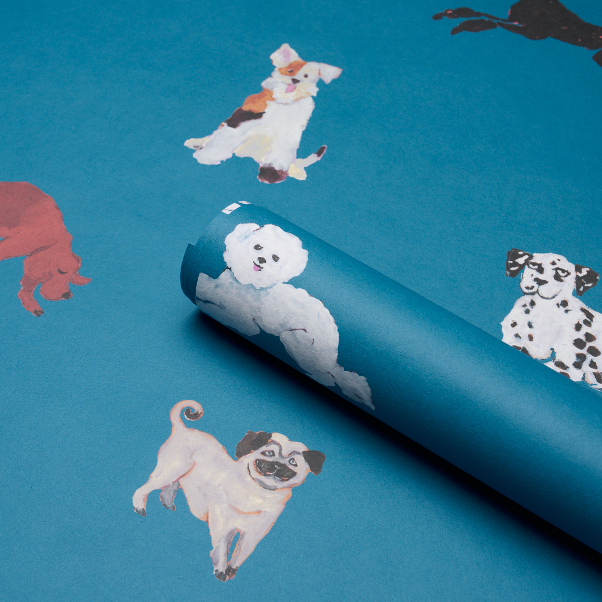 Dogs gallery 4