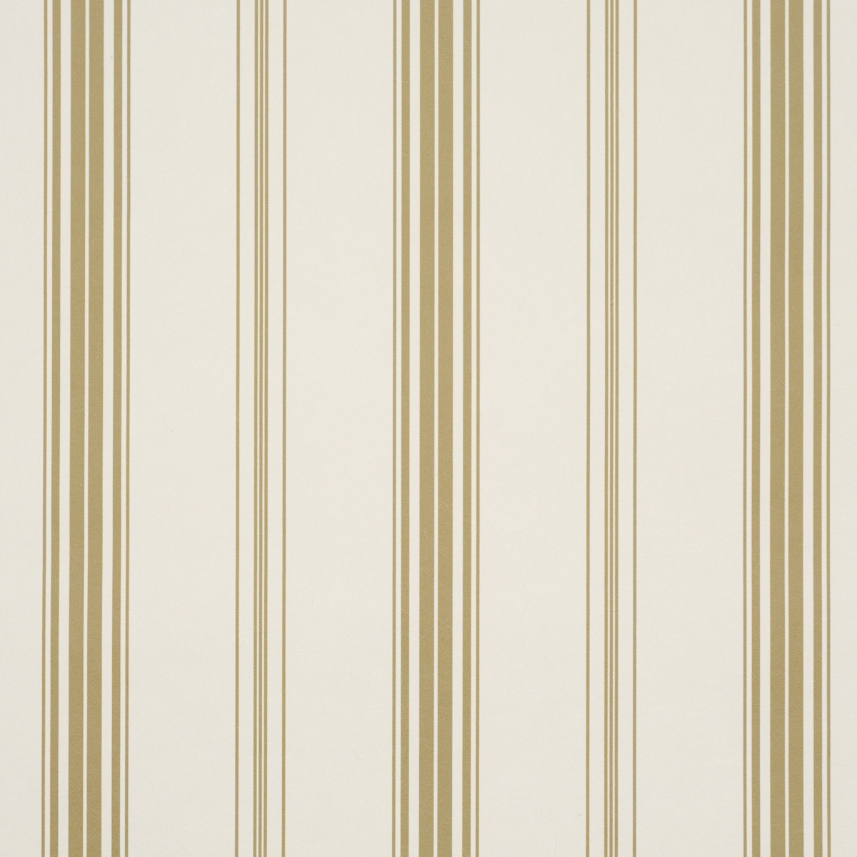 Coco Stripe gallery 2