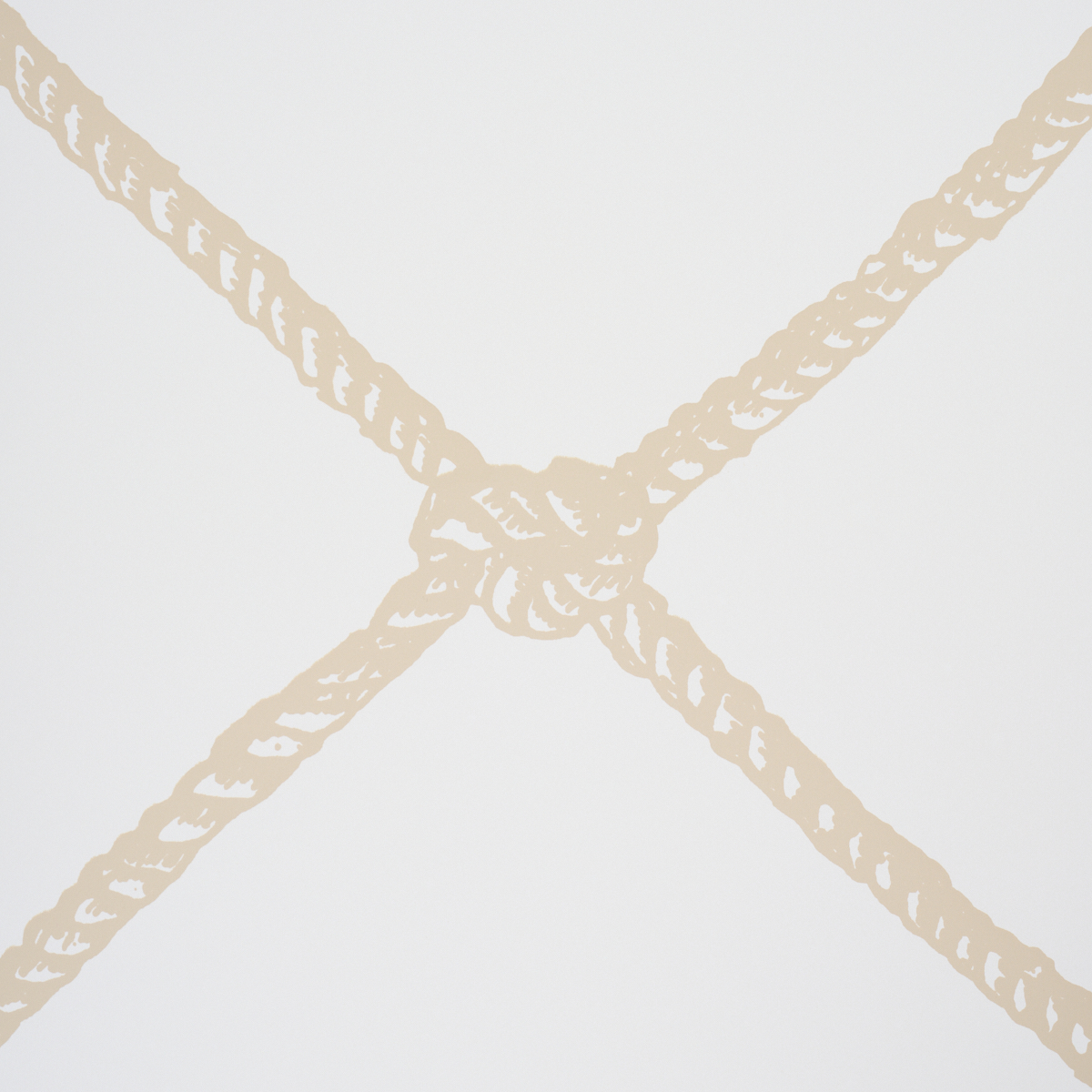 LARGE ROPE gallery 2