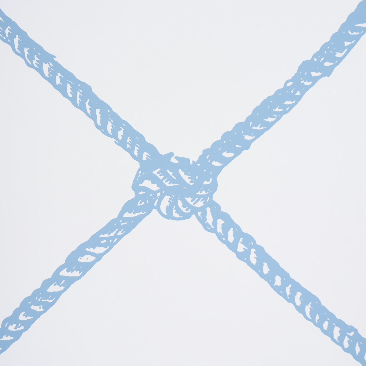 LARGE ROPE gallery 2