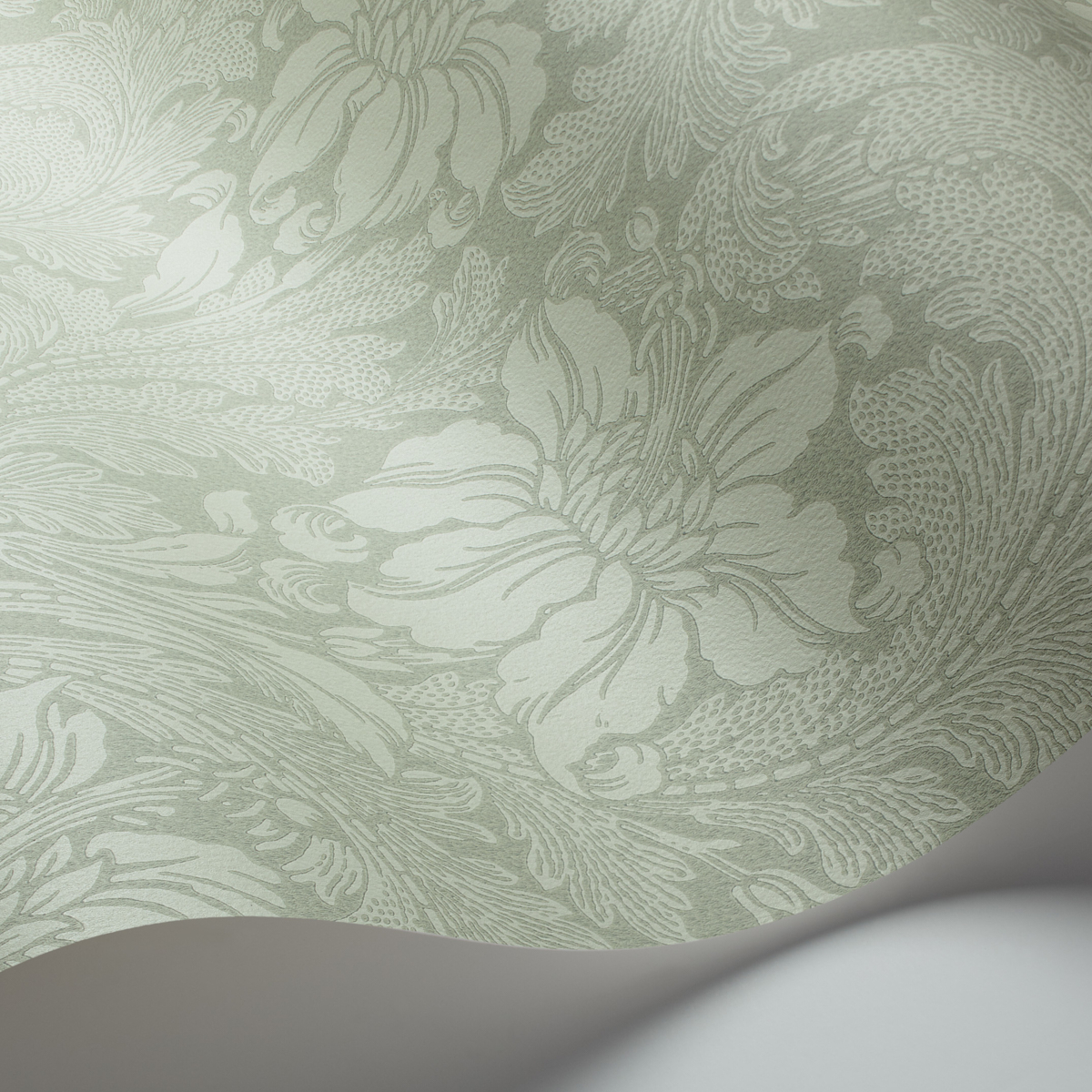 ACANTHUS GARDEN gallery 1
