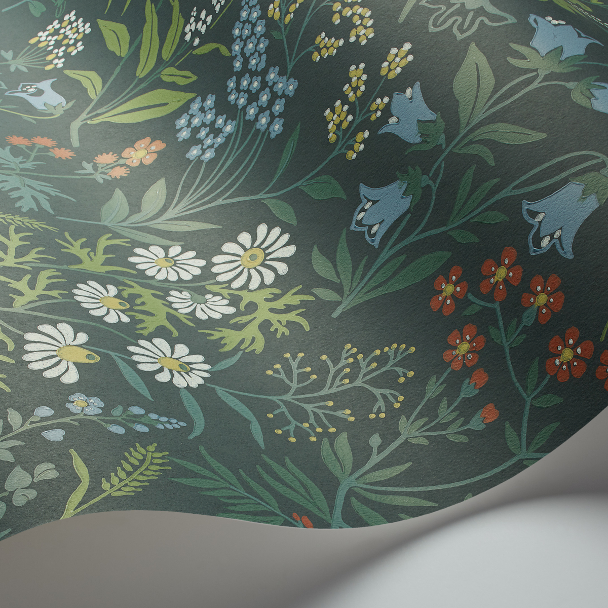 FLORA gallery 1