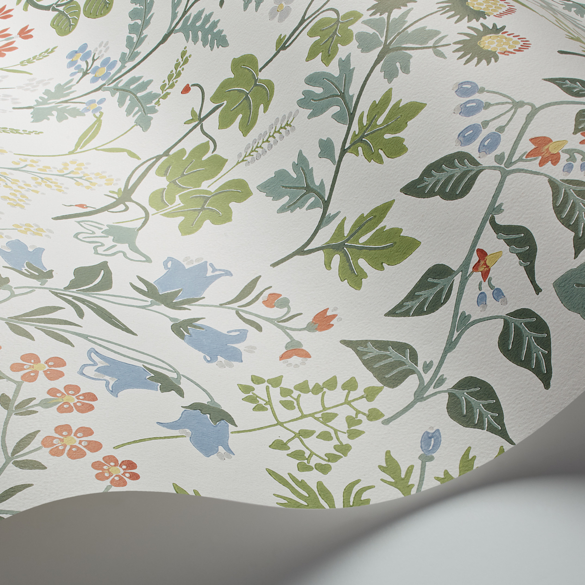 FLORA gallery 1