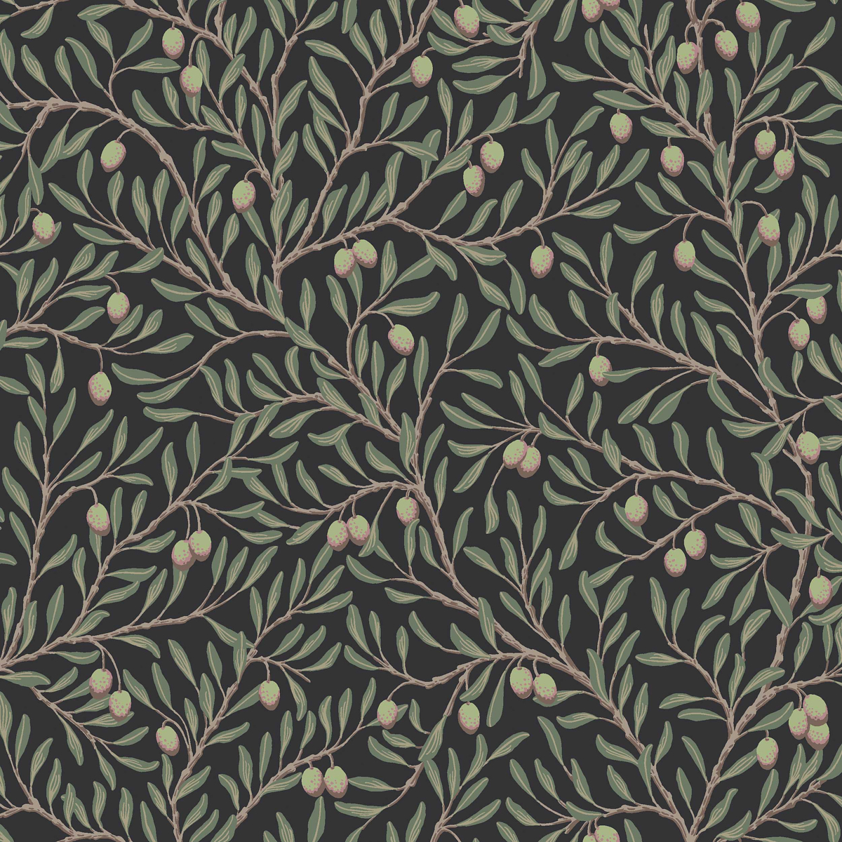 SPRUCE AND MIDNIGHT