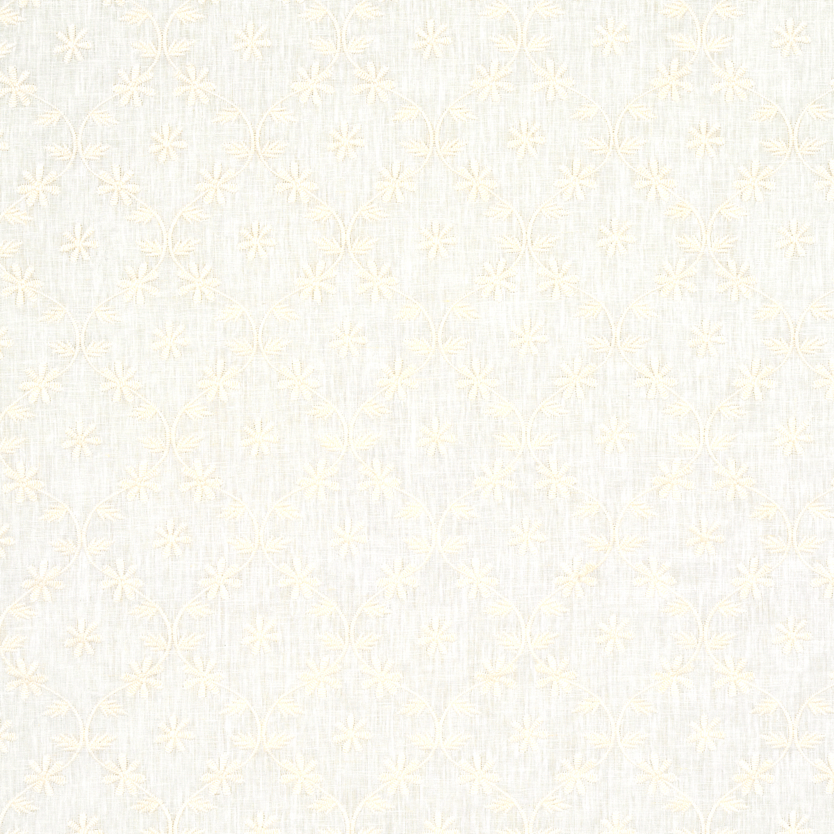 67620.jpg