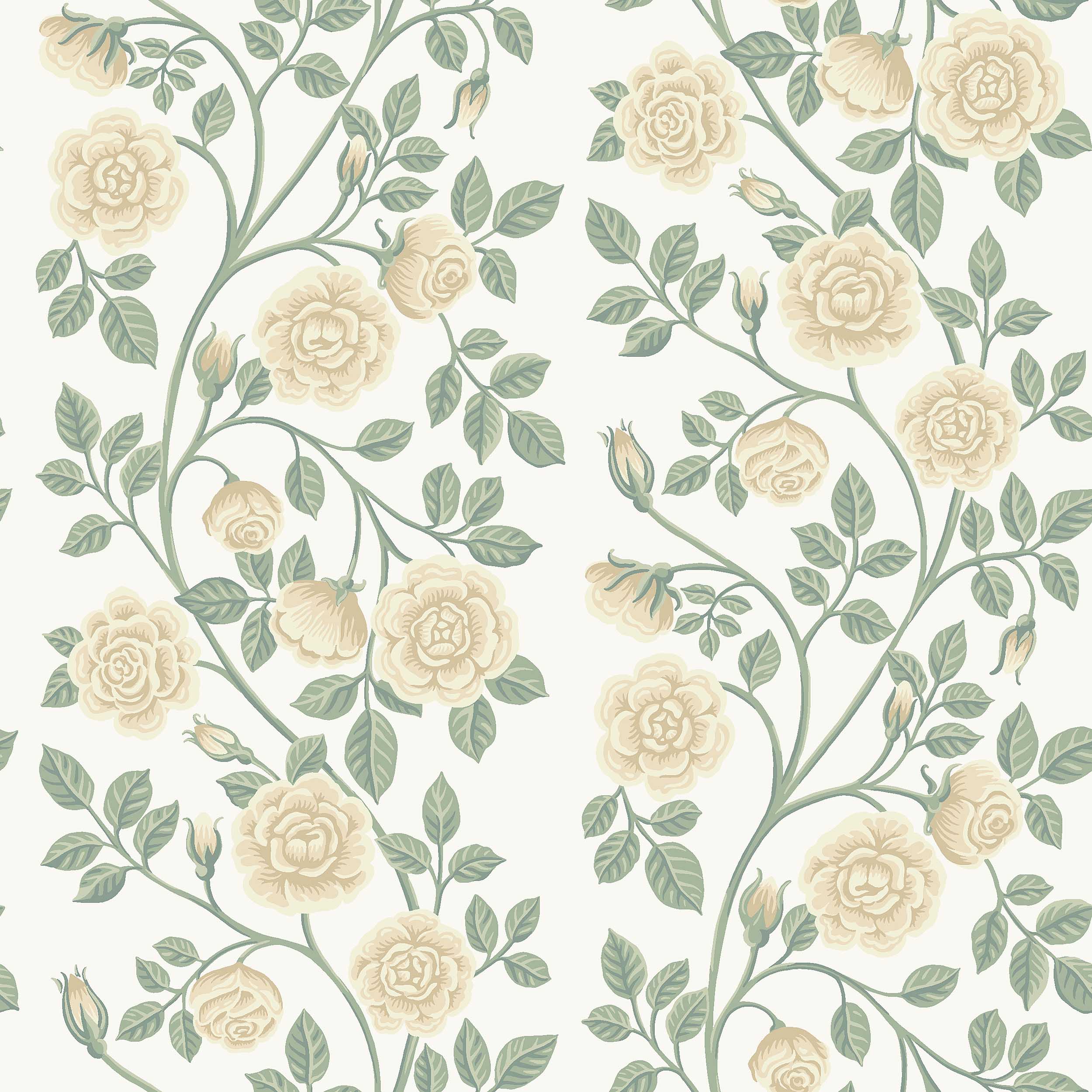ELSA — SAGE