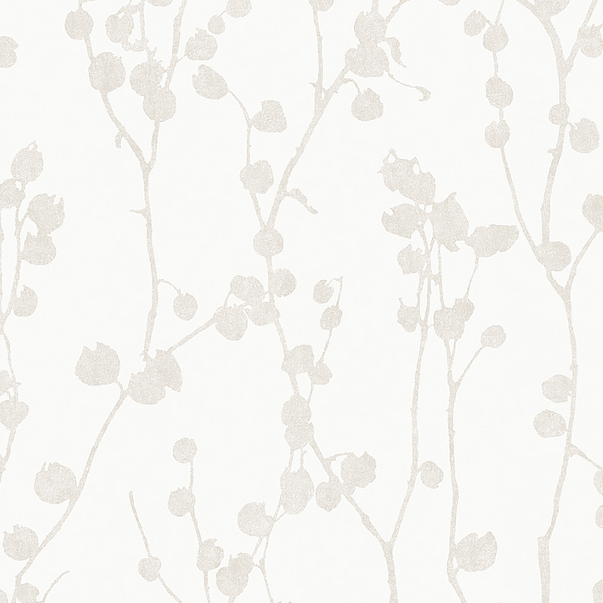 DISA — BONE