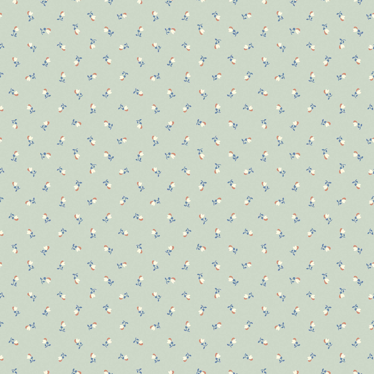 AQUA