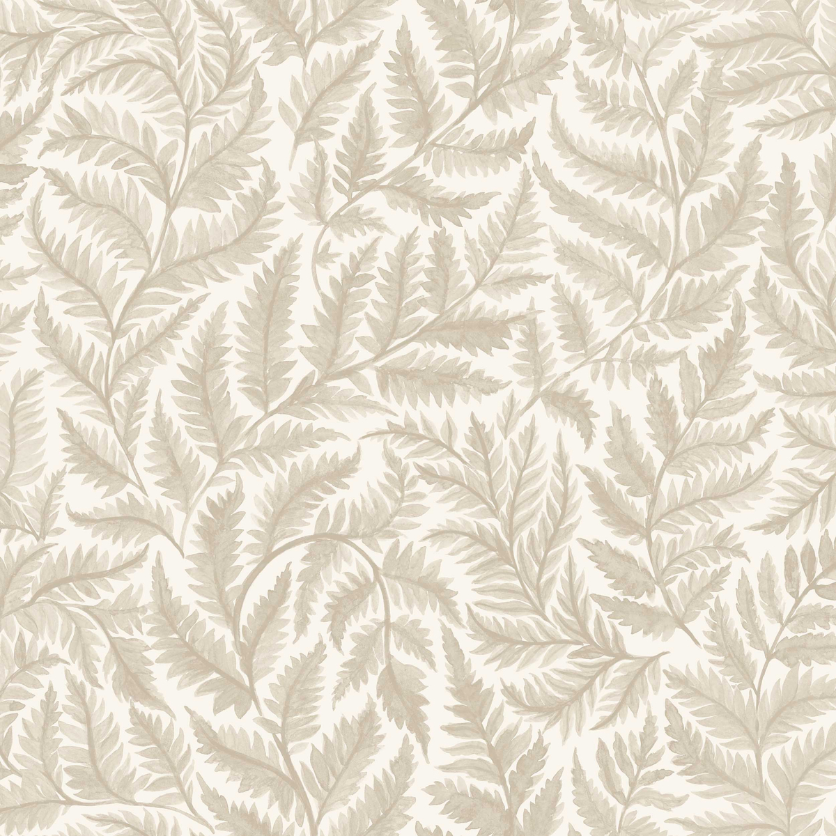 FERNS — NATURAL
