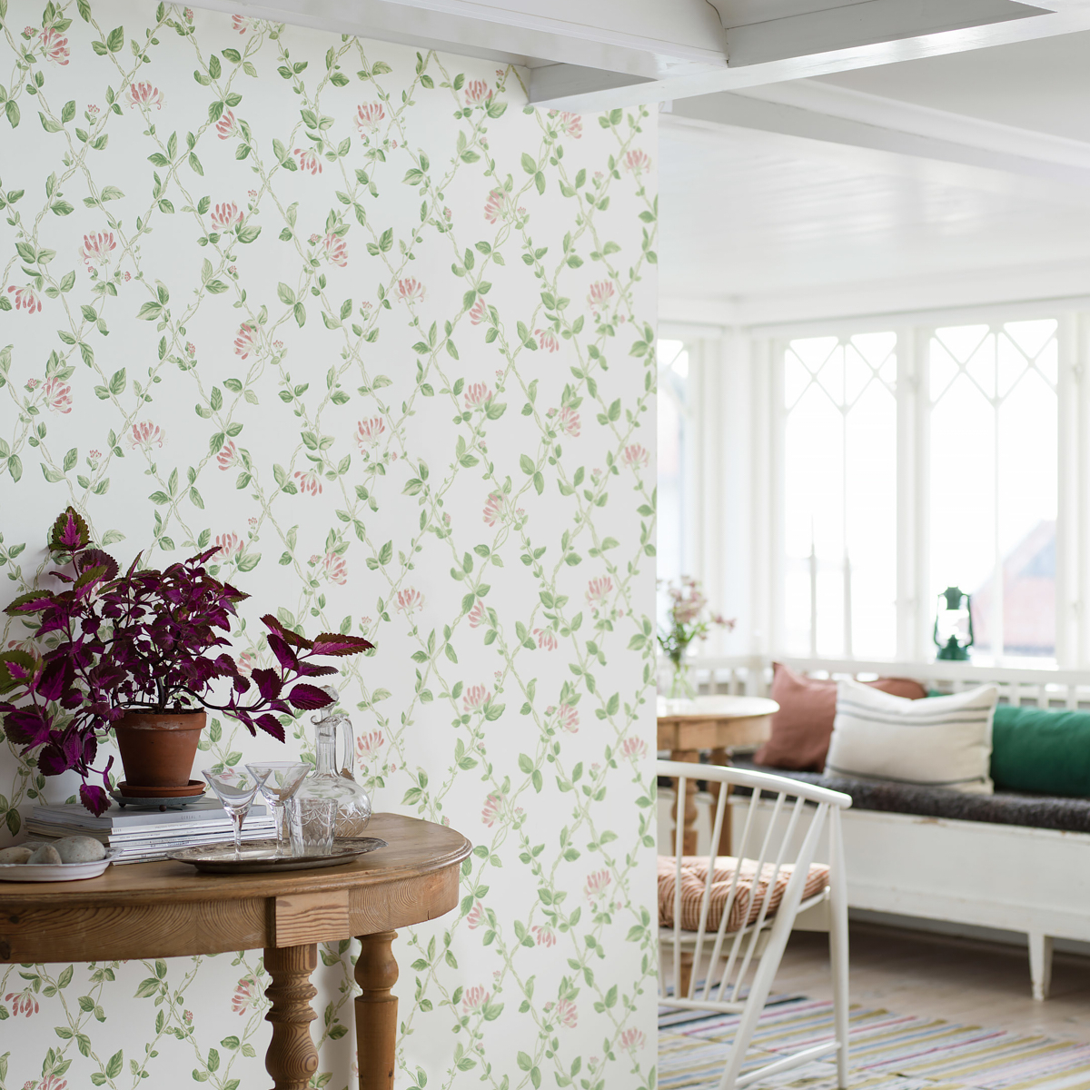 HONEYSUCKLE gallery 2