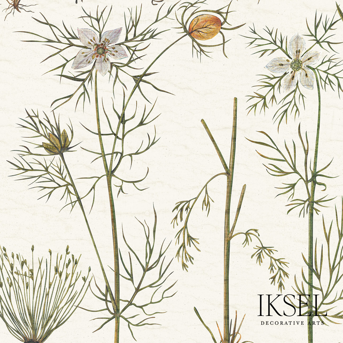 HERBIER gallery 1