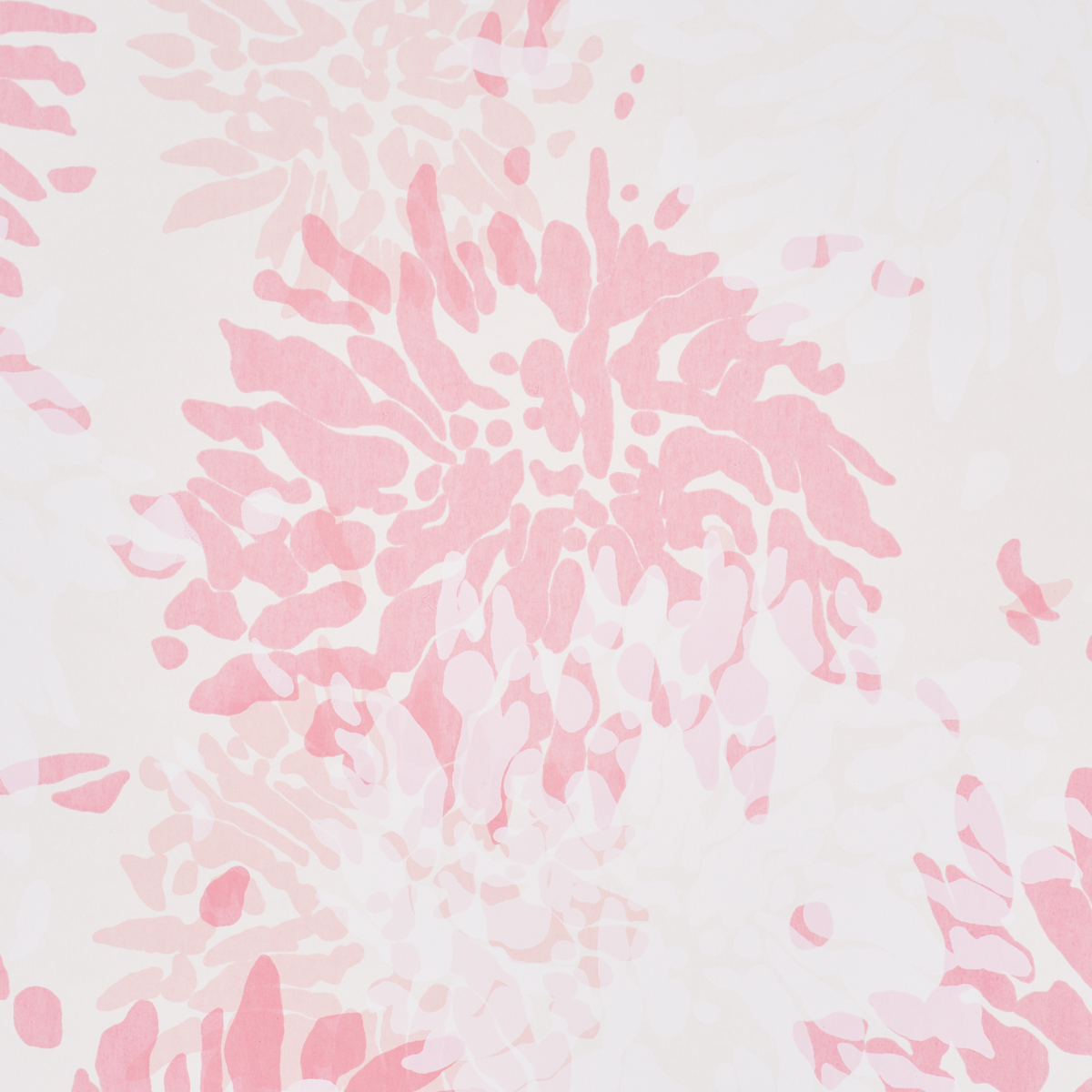 CHRYSANTHEMUM BY TILLETT gallery 2