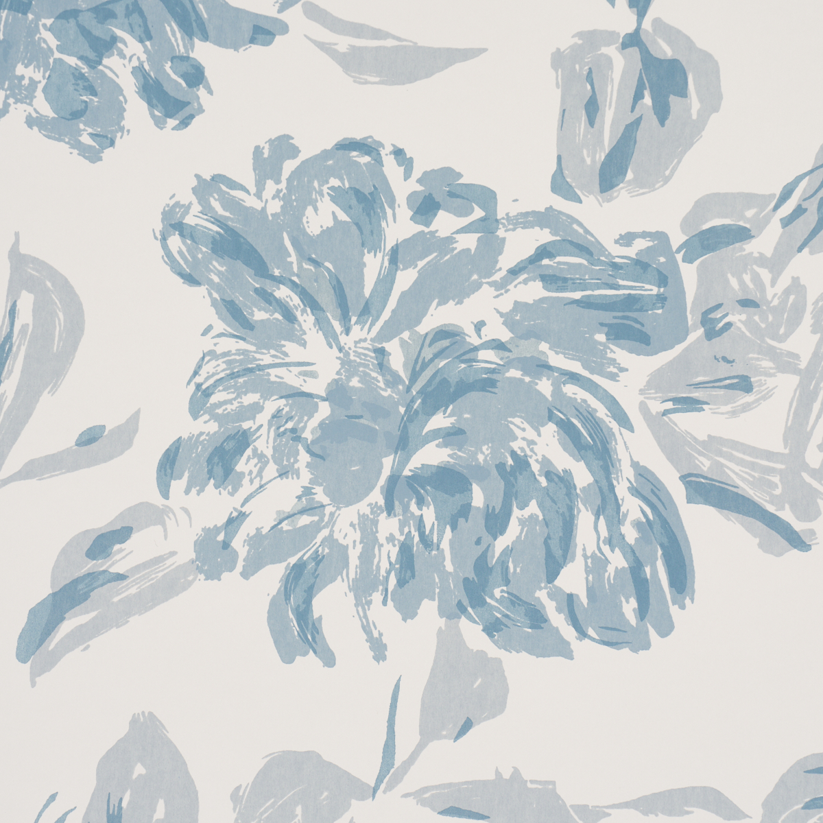 PEONY gallery 2