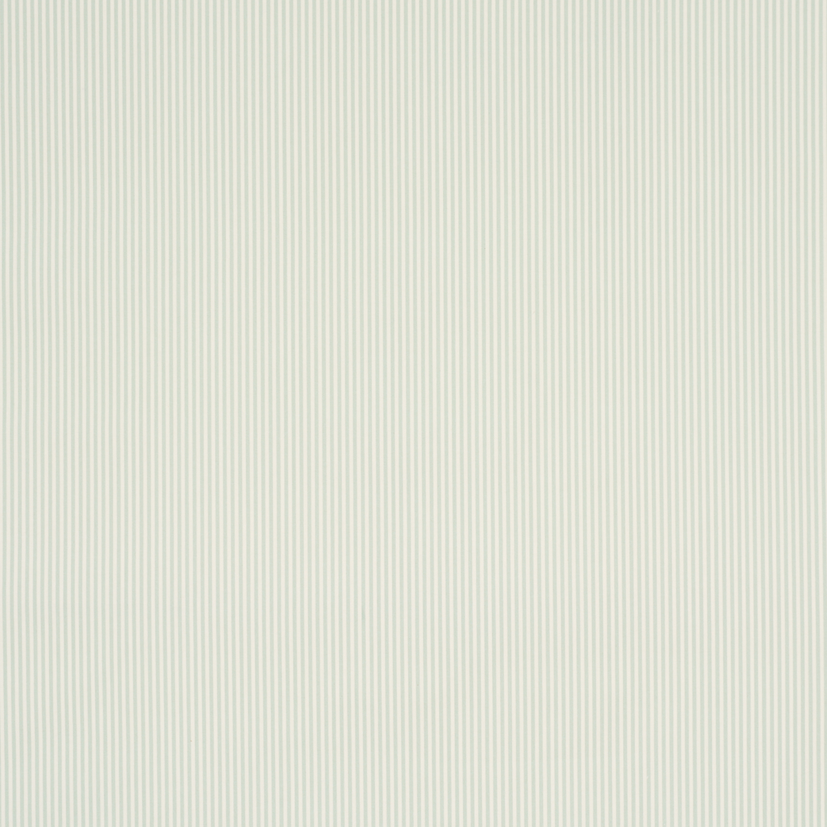 Newport Poplin Stripe