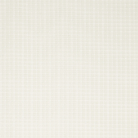 Borealis Check Sheer