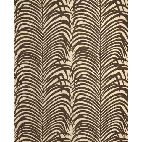 Zebra Palm