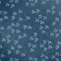 Painted Turtles Indoor/Outdoor