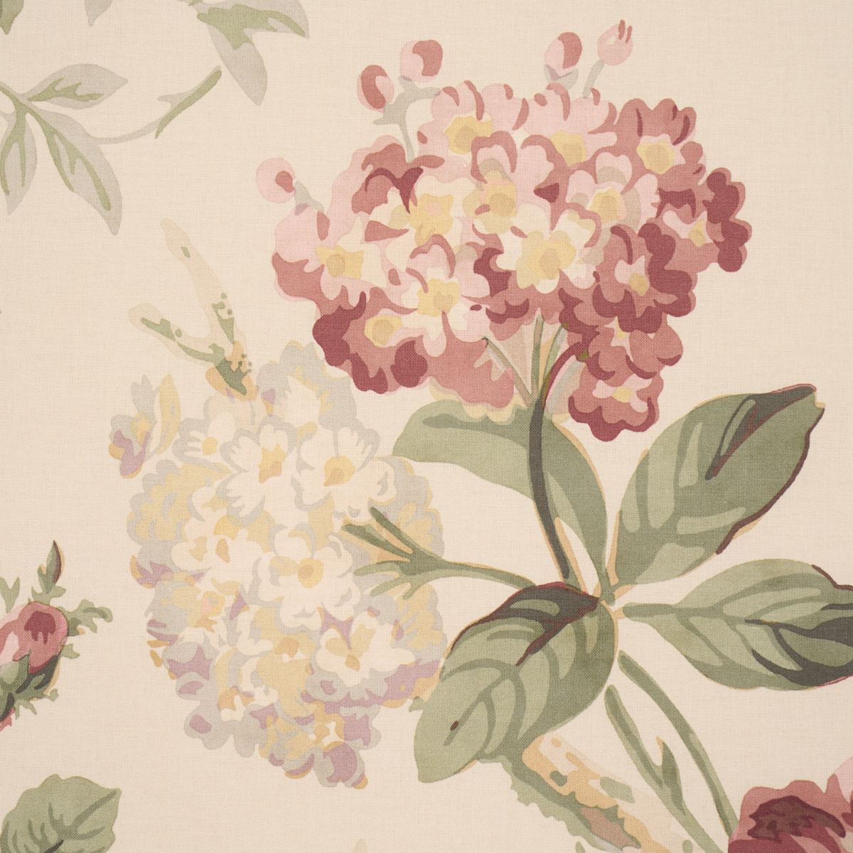 Nancy Floral