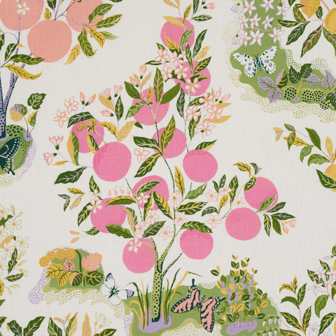 Citrus Garden Indoor/Outdoor