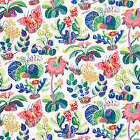 Exotic Butterfly Indoor/Outdoor