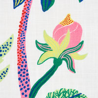 Exotic Butterfly Indoor/Outdoor