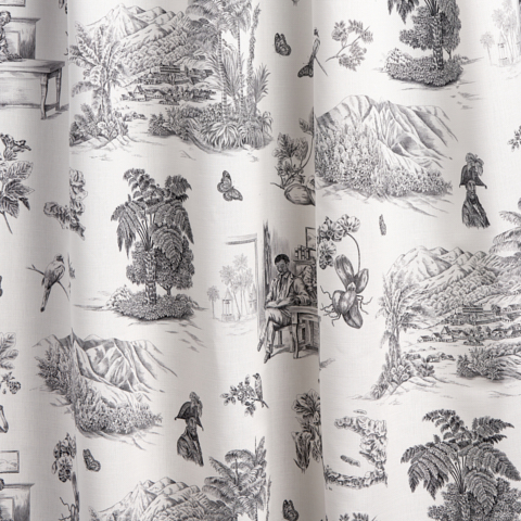 Toussaint Toile
