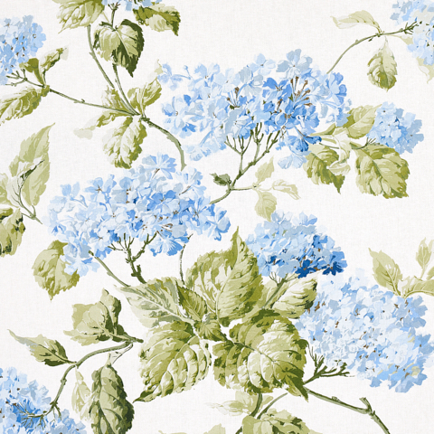 SUMMER HYDRANGEA