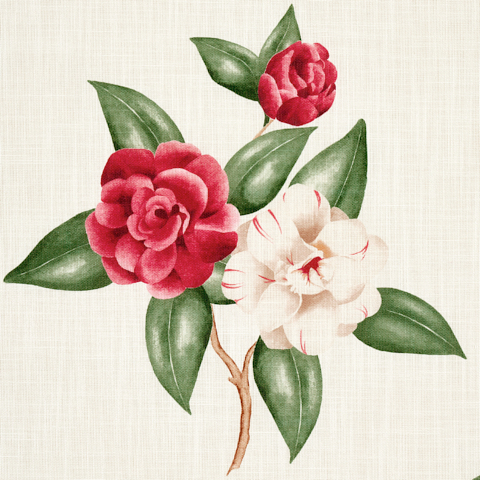 Casablanca Floral Indoor/Outdoor