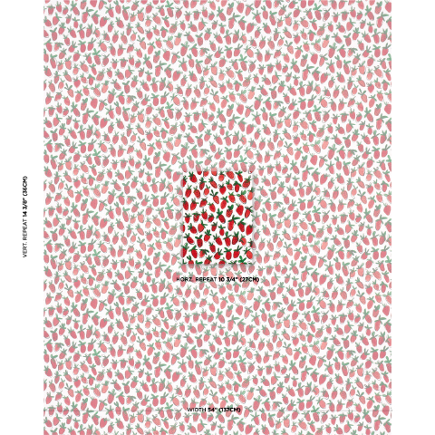 Shortcake Indoor/Outdoor