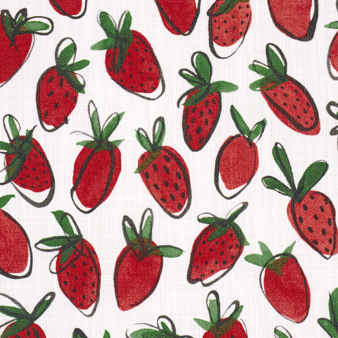 Shortcake Indoor/Outdoor