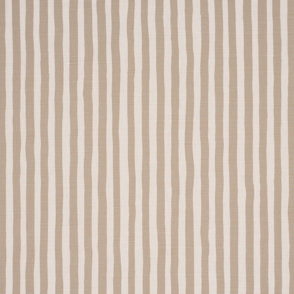Chaney Stripe