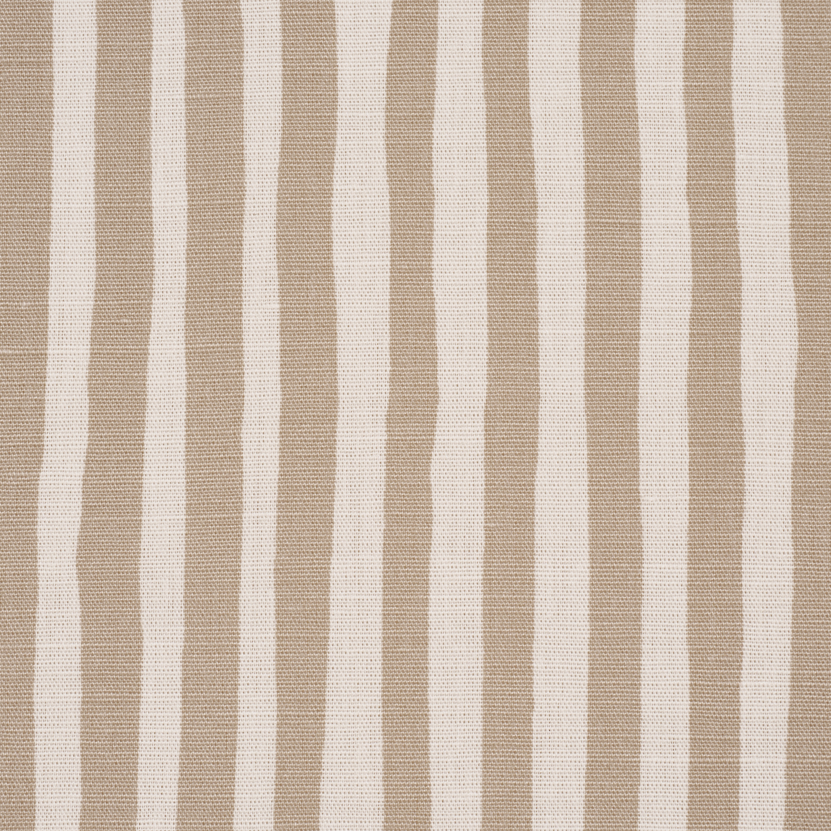 Chaney Stripe