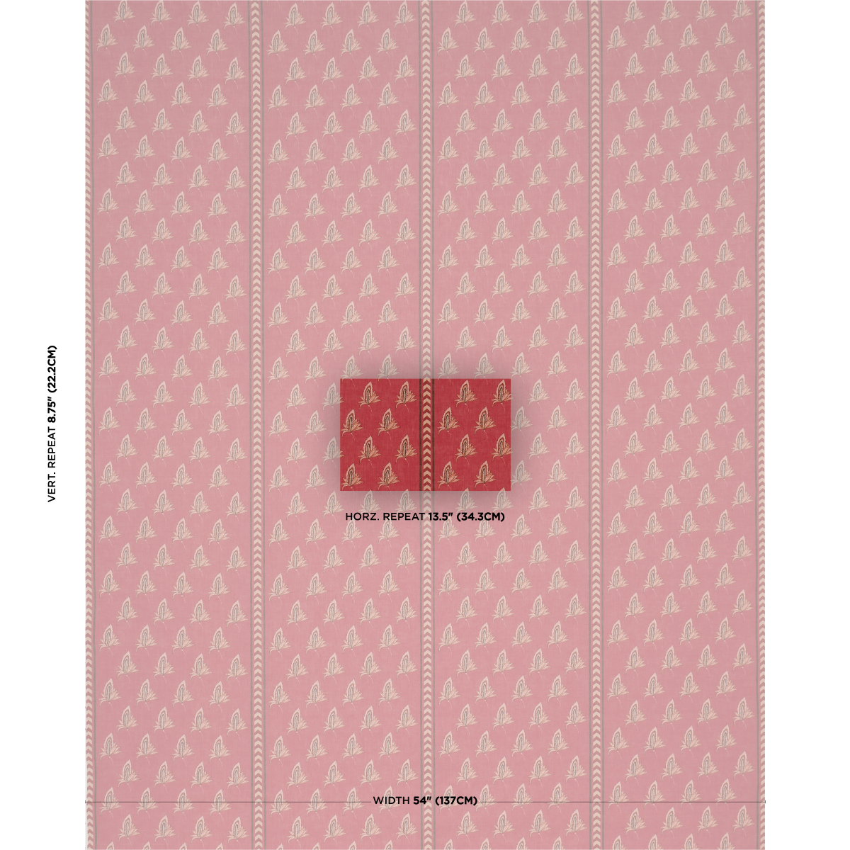 Bangalore Imagination