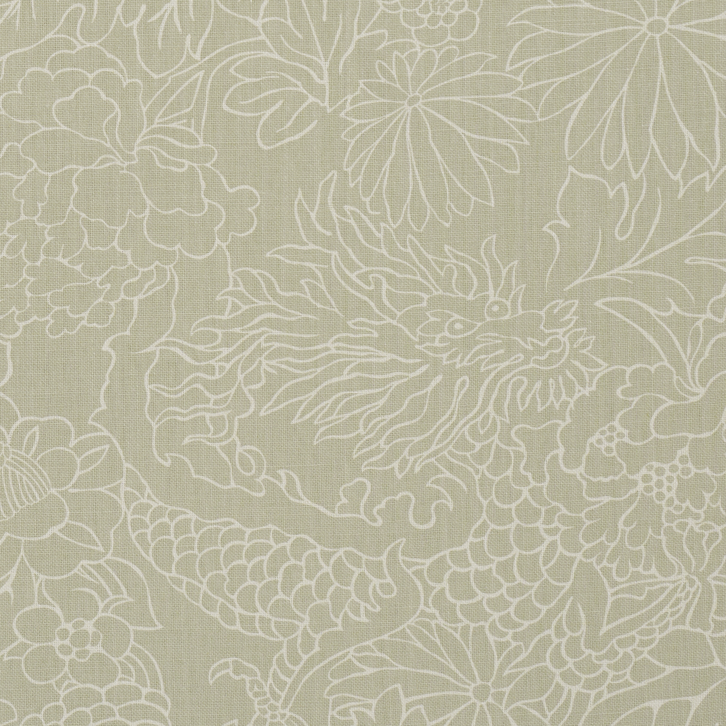 Chiang Mai Dragon Silhouette