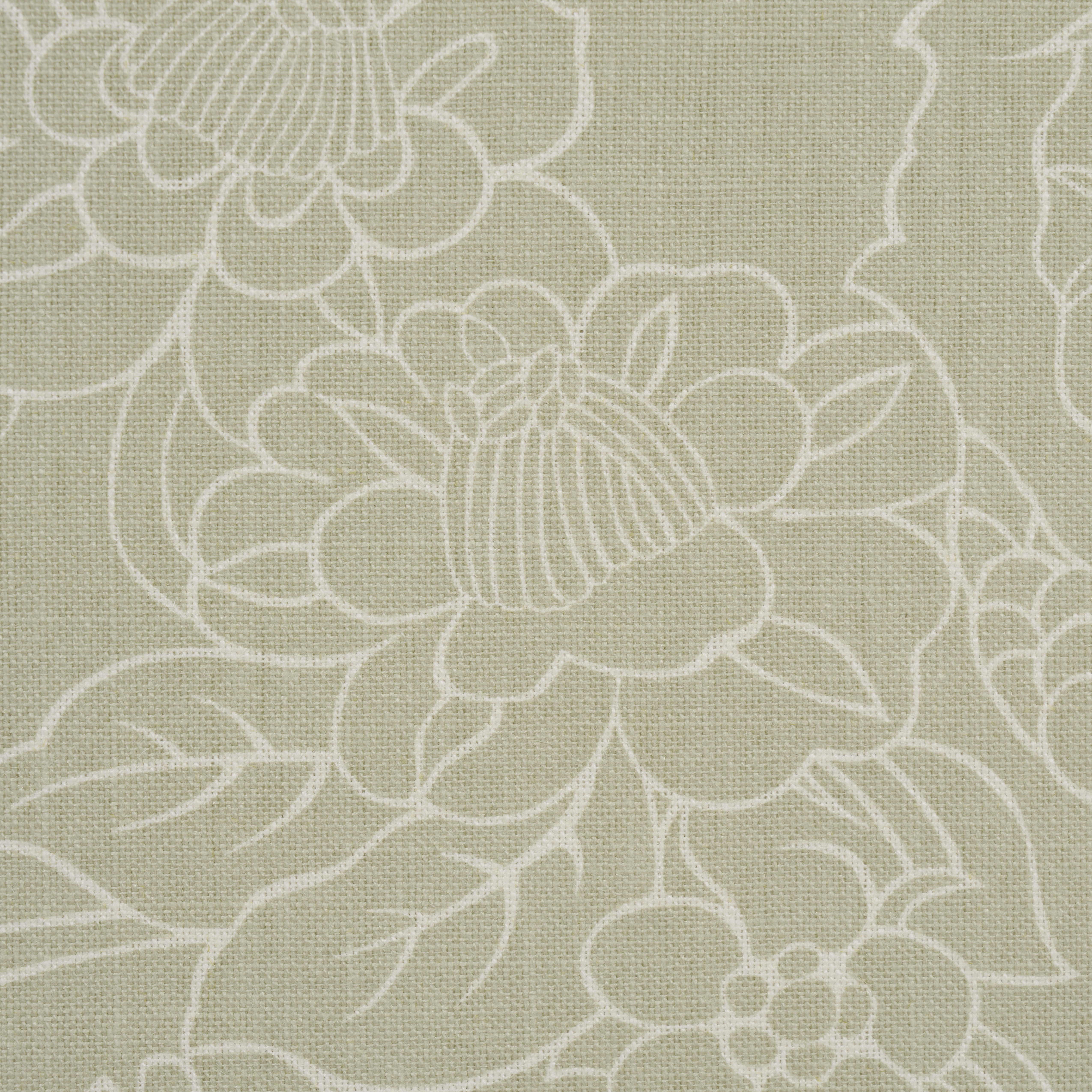 Chiang Mai Dragon Silhouette