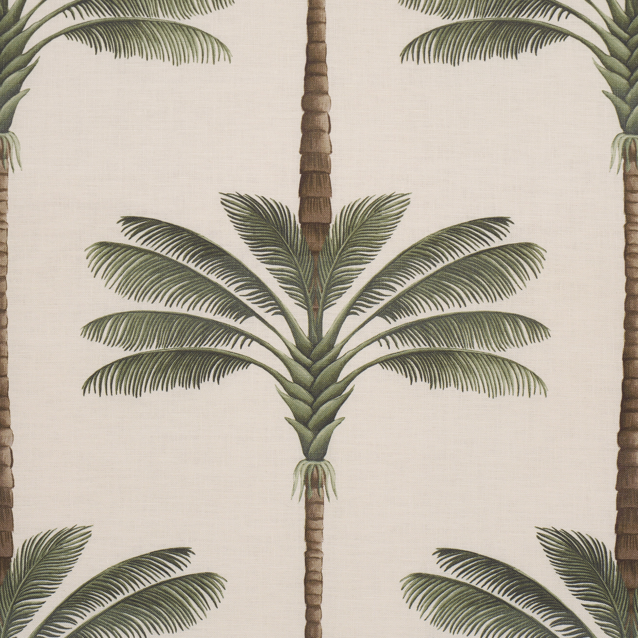 A Palm Is A Palm Print
