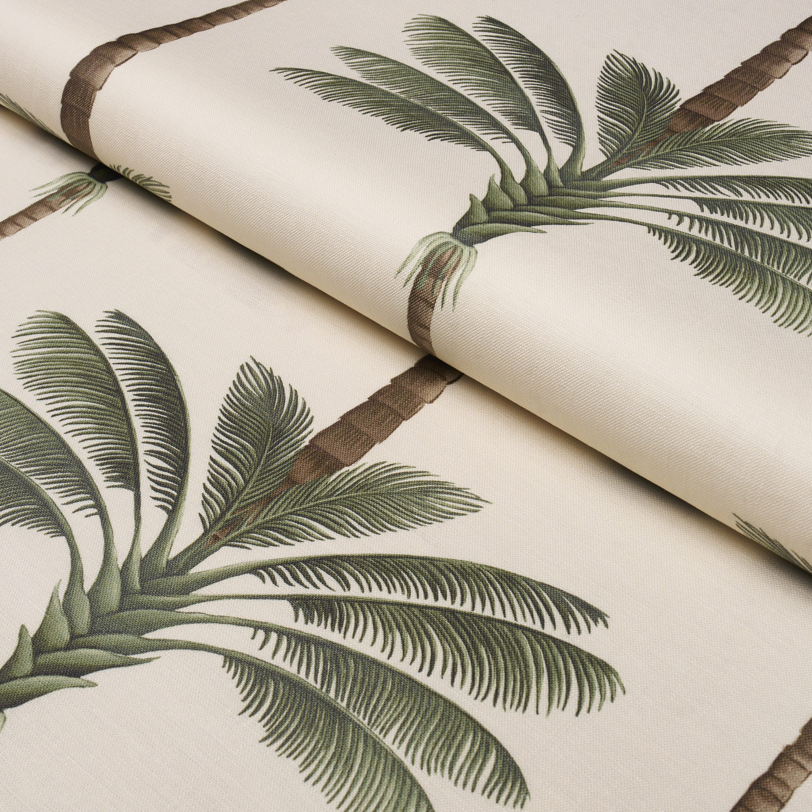 A Palm Is A Palm Print