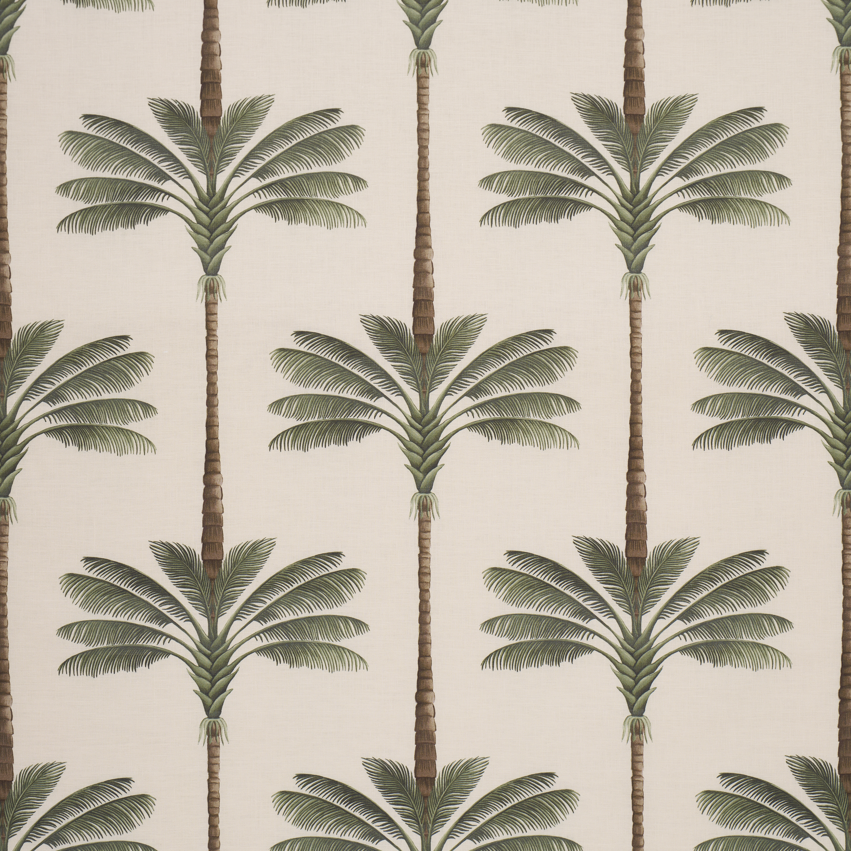 A Palm Is A Palm Print